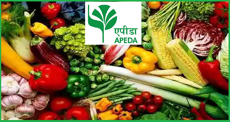 APEDA organizes first ever virtual trade fair to boost export potential of  India's agricultural and processed food products. | Exhibition Showcase